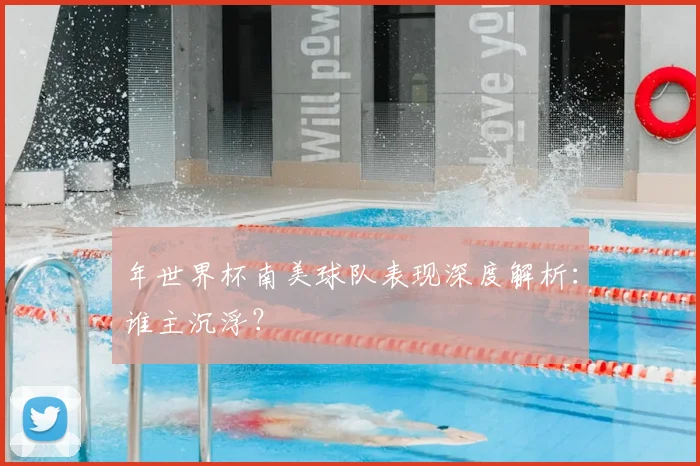 年世界杯南美球队表现深度解析:谁主沉浮?