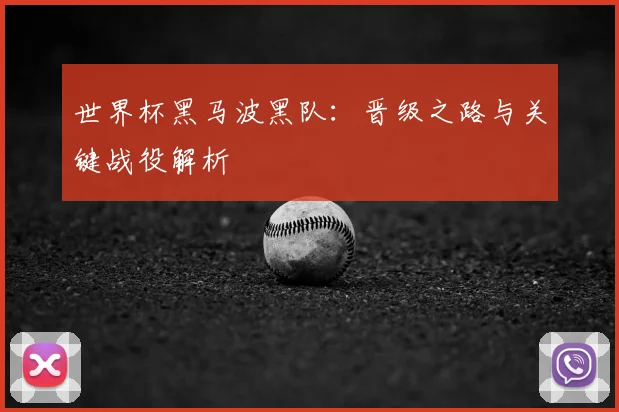 世界杯黑马波黑队：晋级之路与关键战役解析