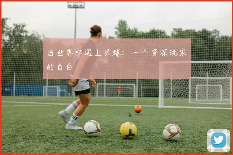 当世界杯遇上买球：一个资深玩家的自白