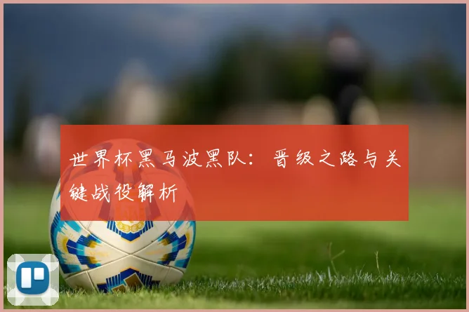 世界杯黑马波黑队：晋级之路与关键战役解析
