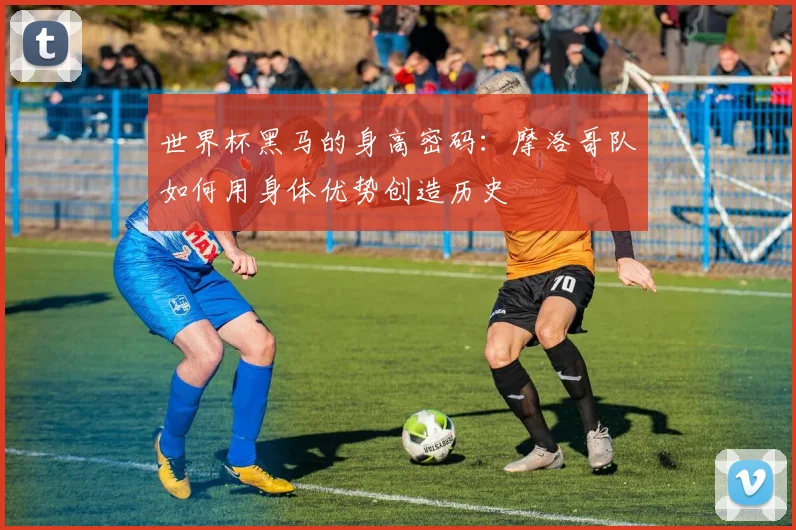 世界杯黑马的身高密码：摩洛哥队如何用身体优势创造历史
