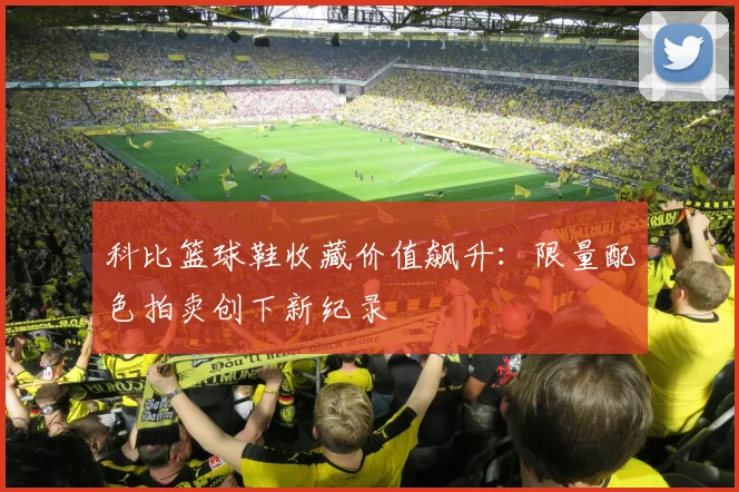 科比篮球鞋收藏价值飙升：限量配色拍卖创下新纪录