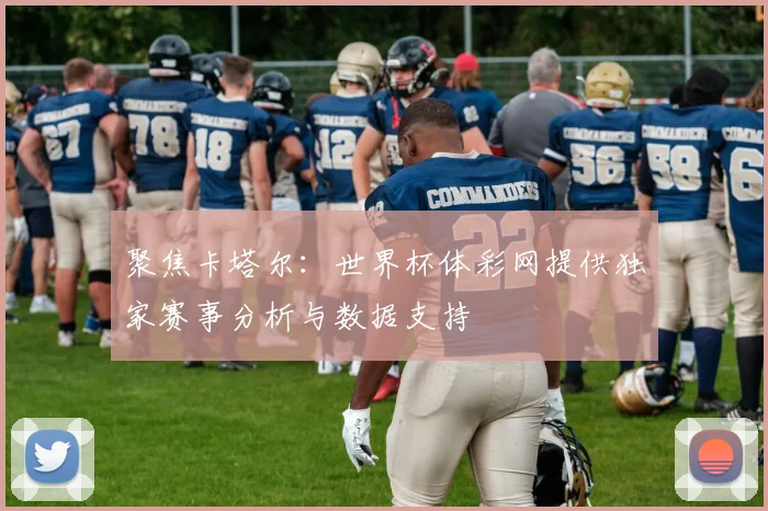 聚焦卡塔尔：世界杯体彩网提供独家赛事分析与数据支持